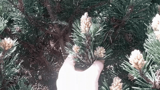 7dc84e14ddfdcbe3202d5cef4194f7a2_143714.gif