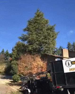 e4f924a5c543d40b2ad763e62e2542a5_556537.gif