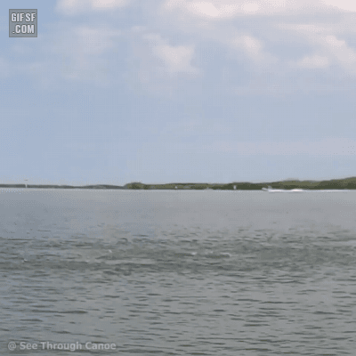 1f48f29c1143d86ecbd24621212f71db_204793.gif