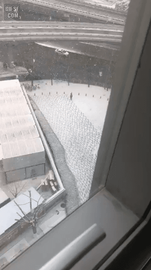 8af5e2a90dadad38ff15fdb1afcb3759_770993.gif