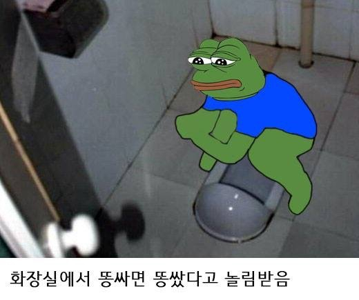 a6f5e1bea6ea8981acda0b257a735cec_797434.jpeg