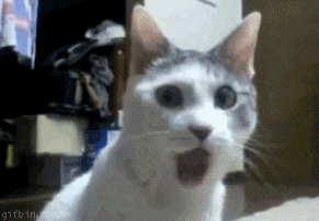 f85d9b14d8a1582fe15c076fc9c11447_258433.gif