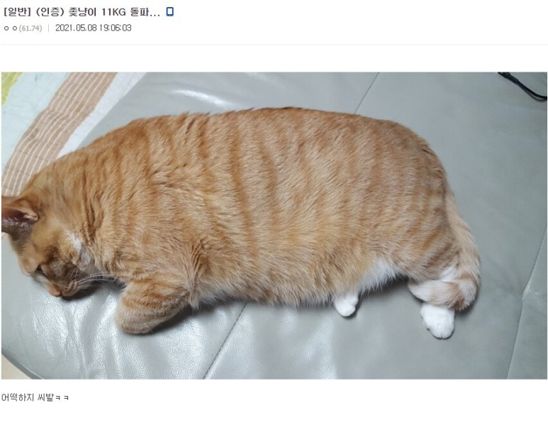 c6fe11a060abb22bbd71b432535dc7fa_748429.jpeg