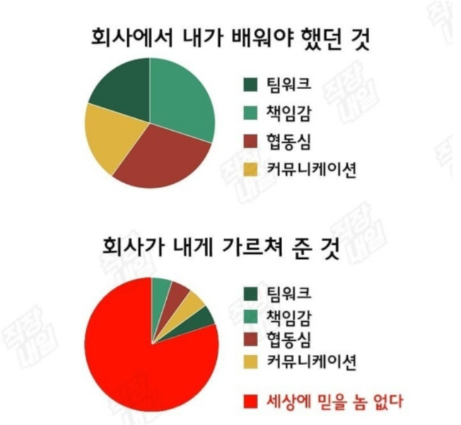 a11ba7cf3ff69b417bab108bba56b733_674915.png