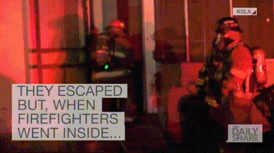 e16341d2e773f99efaa68f6ae427a744_347762.gif