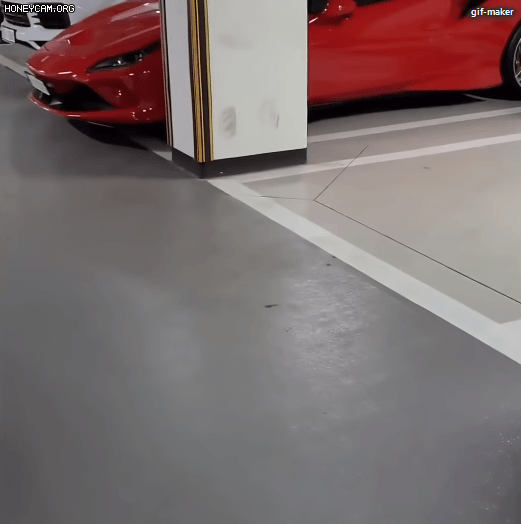 fddfa9738a660afad27ad75b952199ab_970990.gif