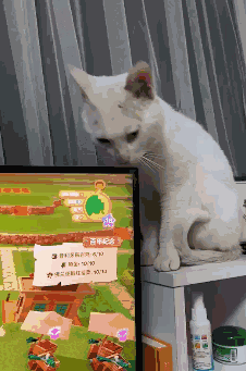 aeb5a2632b4e5d0dc160c9b78e250992_396787.gif