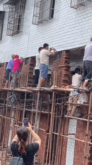 453e2e544c8256de89ec26b709b0f0e2_546041.gif