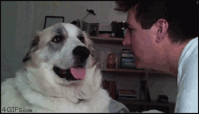 82c7ee3a8b28482172c2a137eb33dd1a_132399.gif