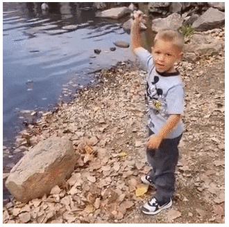 3eae47f7aa9e5a3419e96da08c17b0f7_162150.gif
