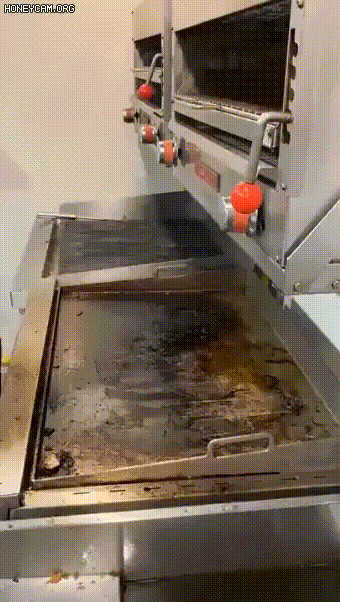 3aea415e4a47478859536c8aab0e2133_597705.gif
