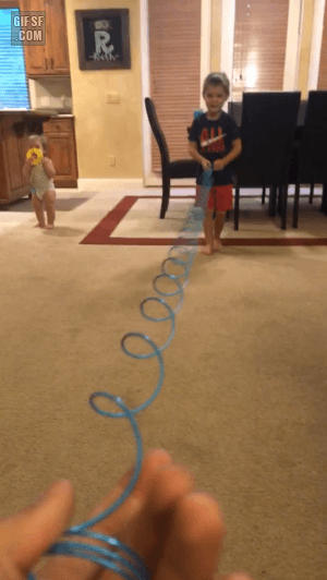 8f1d617f96753d2dd4080402a79ef723_336499.gif