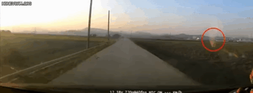0e94f306fc9b715f5667ccb66aaeb29a_483898.gif