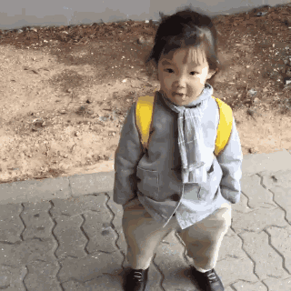 56692d6f0354e2ee2fee3a51c5cf9f4b_741858.gif