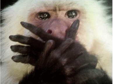 332980b70650ca6e7b57b5d40bd61d7c_826444.gif