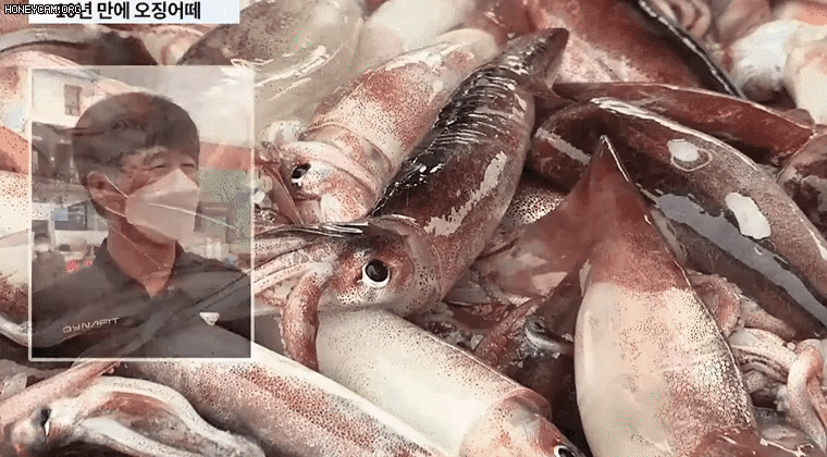 08cf3ca8081ca1a527366614c578c5bb_523590.gif