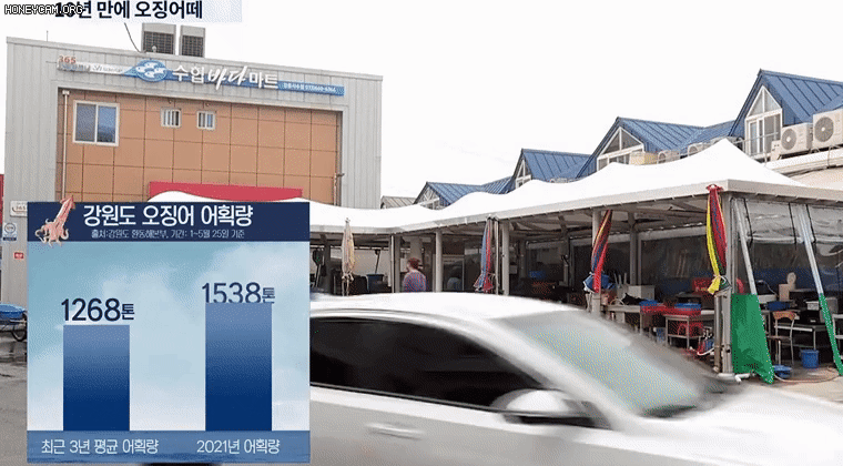 cca2cca9dc0eec04026d5f7691590476_297661.gif