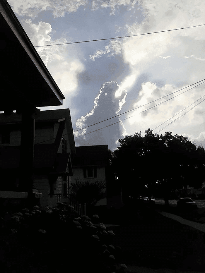 ee376d3729d374b3ec61bbf9e1408ebb_730609.png