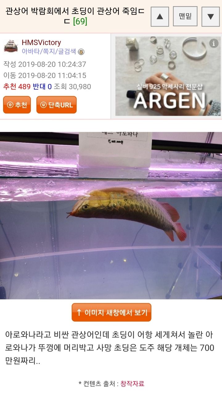 4faaf670b72c1b94fa0bae3d6d04369d_977227.jpg