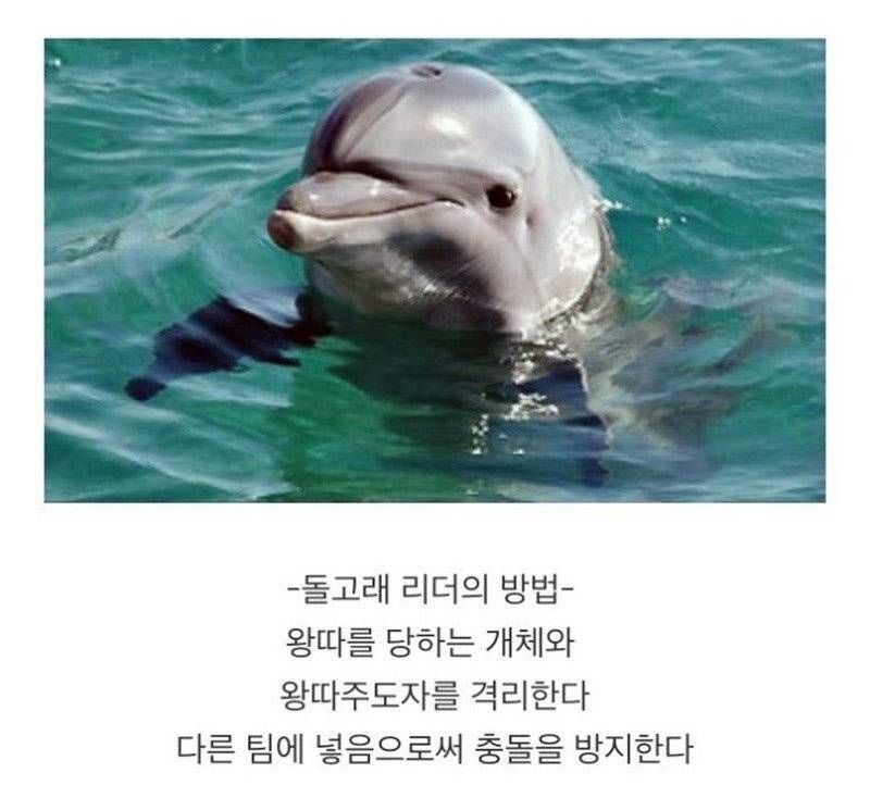a880d97a53c9594a98d20c94a326e418_816188.jpeg
