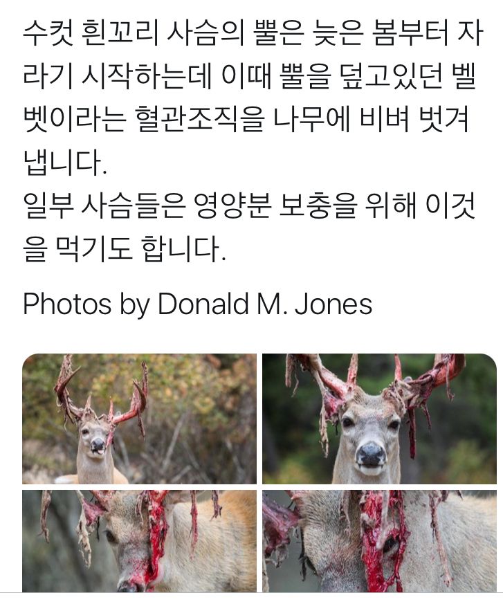 35d943aea801bec440c280fa75a630f4_911730.jpeg