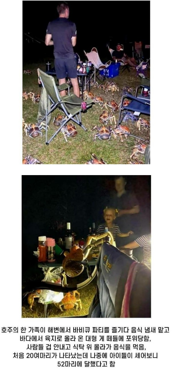 38c029bd979ed047025a8b35a41552e0_458470.png