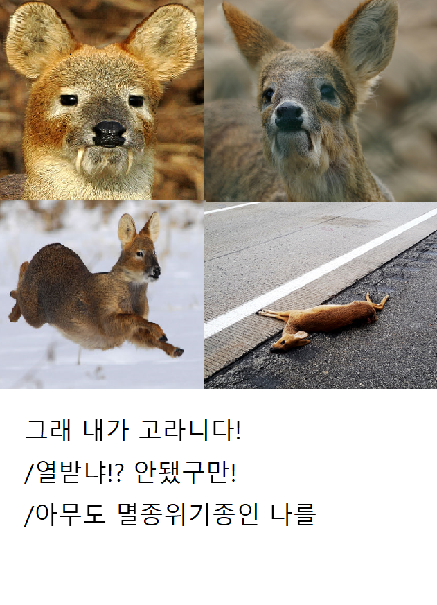 3137d999a95a93df5882c85d8d4613aa_136134.png