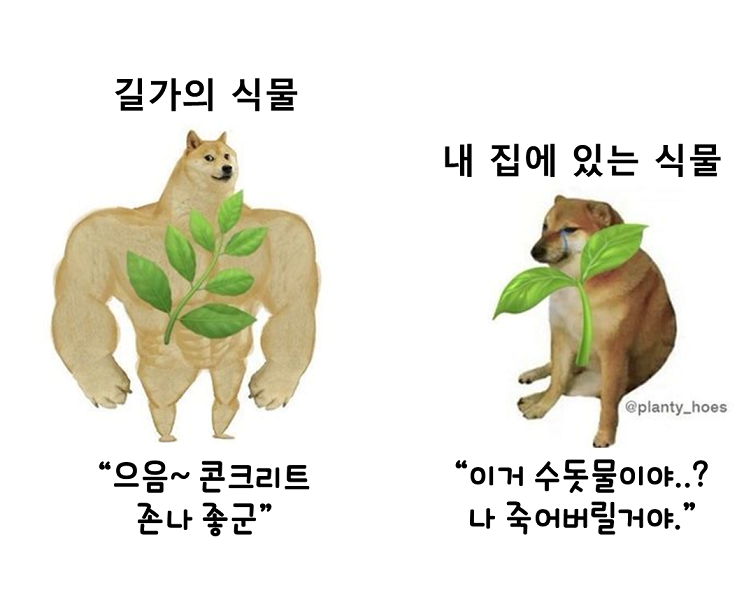 a86b4cb66dca247e7ba3381963ef6f96_683851.png