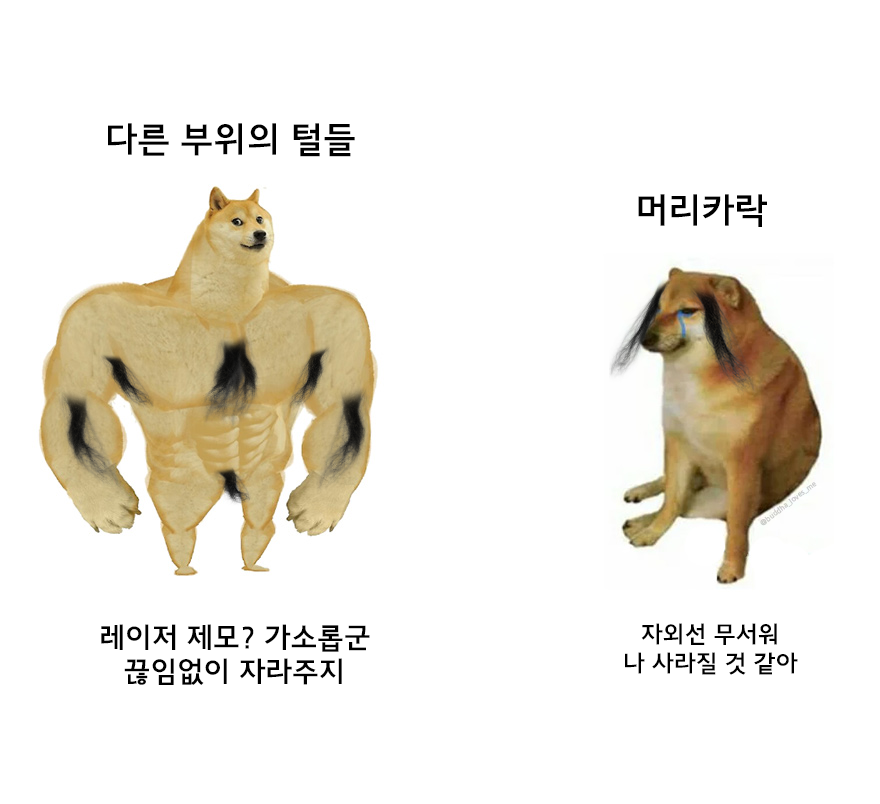 14a3dc06bd14a9092928845becebf9fb_191912.png
