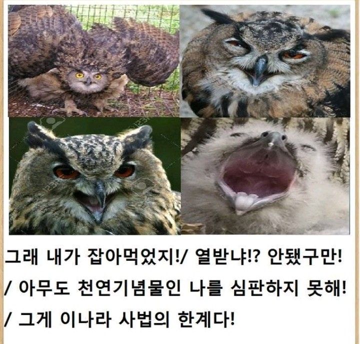 48a7259f4d67fbcccdca40d34a09283d_390991.jpg