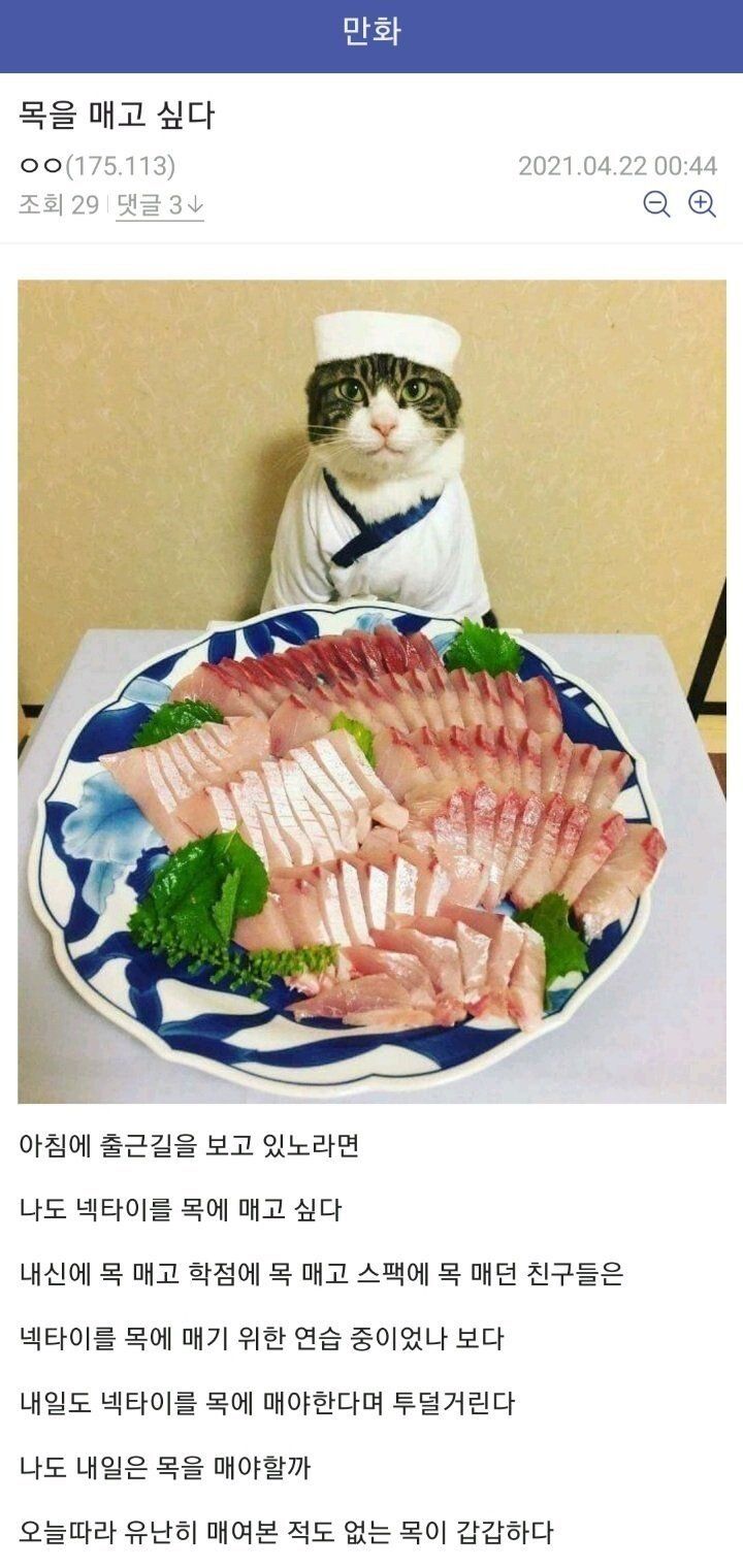 5024f4b54cfdcbdcd204d37852bb2c70_572495.jpg