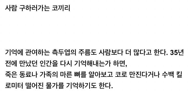 [유머] 의외로 똑똑하고 감수성도 풍부하다는 코끼리 -  와이드섬