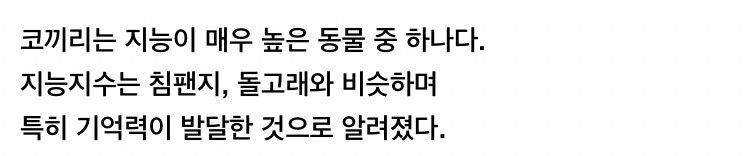 [유머] 의외로 똑똑하고 감수성도 풍부하다는 코끼리 -  와이드섬