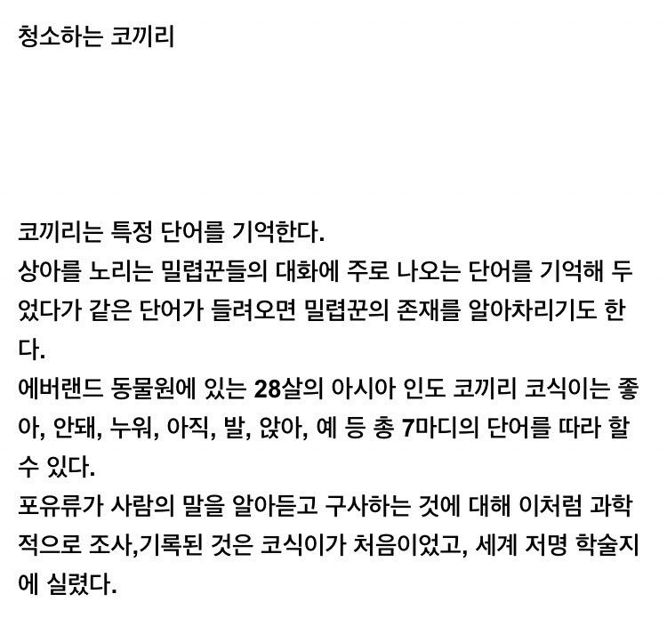 [유머] 의외로 똑똑하고 감수성도 풍부하다는 코끼리 -  와이드섬