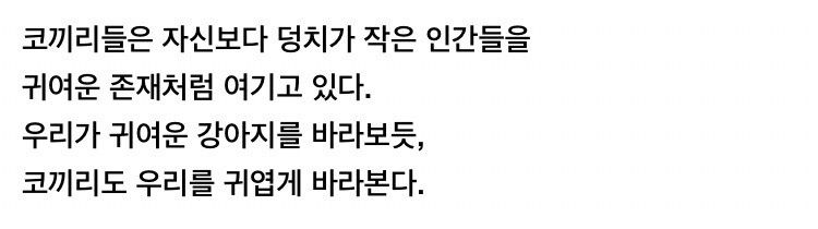 [유머] 의외로 똑똑하고 감수성도 풍부하다는 코끼리 -  와이드섬