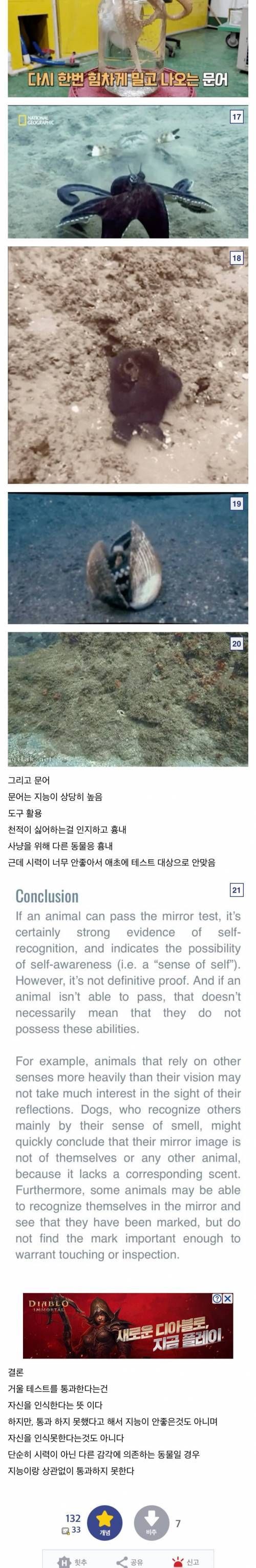 71b97ace672232bd5b10caa280c8c410_693045.jpg