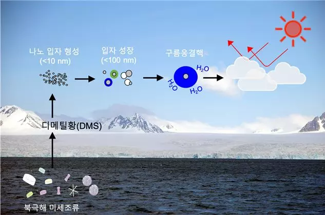 [유머] 지구는 스스로 살려고 노력중 -  와이드섬