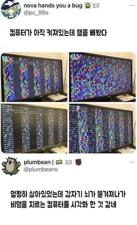09853ae36b171016161ea8655e616039_415848.jpeg
