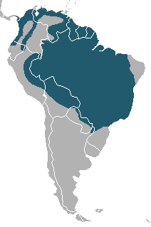 1156ca1a6da89e16a574a0aa7abb4a25_750454.png