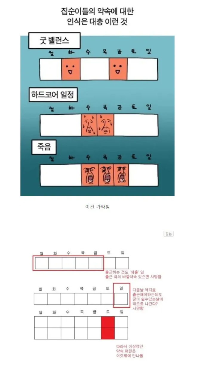 [유머] 집순이, 집돌이들의 이상적인 약속 패턴 -  와이드섬