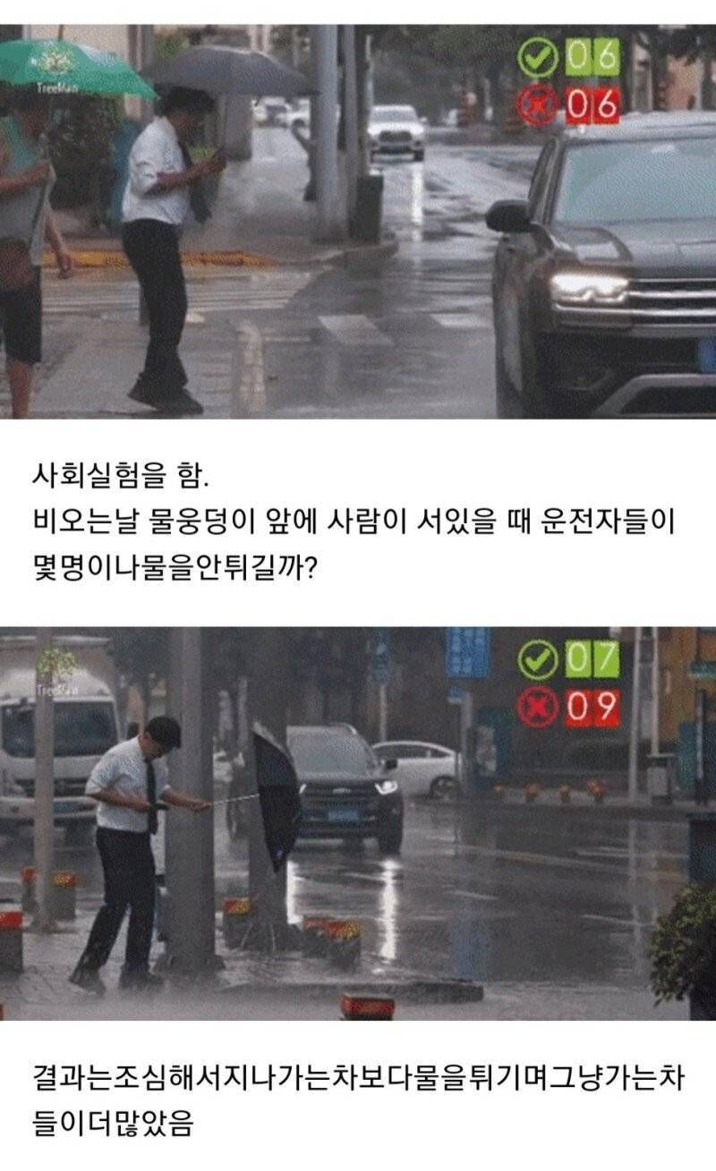 [유머] 물웅덩이 사회실험 -  와이드섬