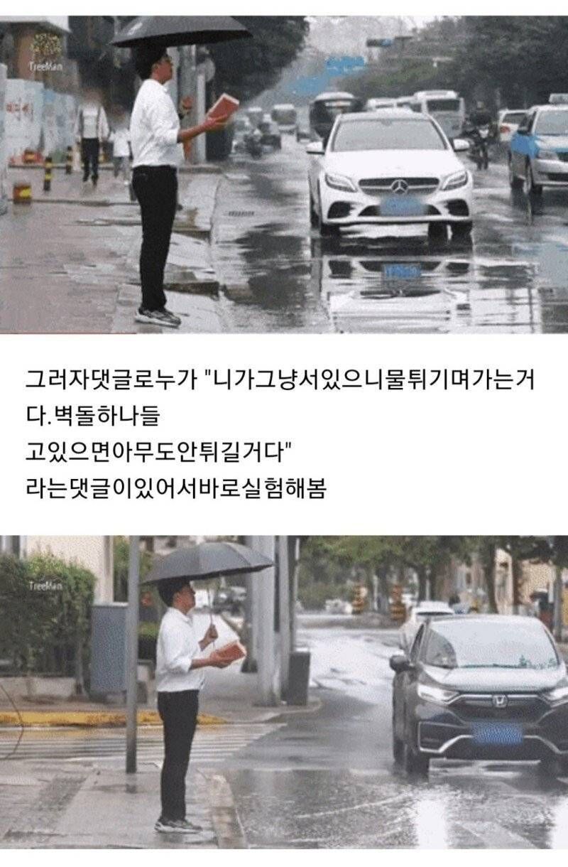 [유머] 물웅덩이 사회실험 -  와이드섬
