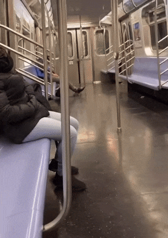 d00ebd2f1a8b9a86b37b84fd4d5324b7_342228.gif