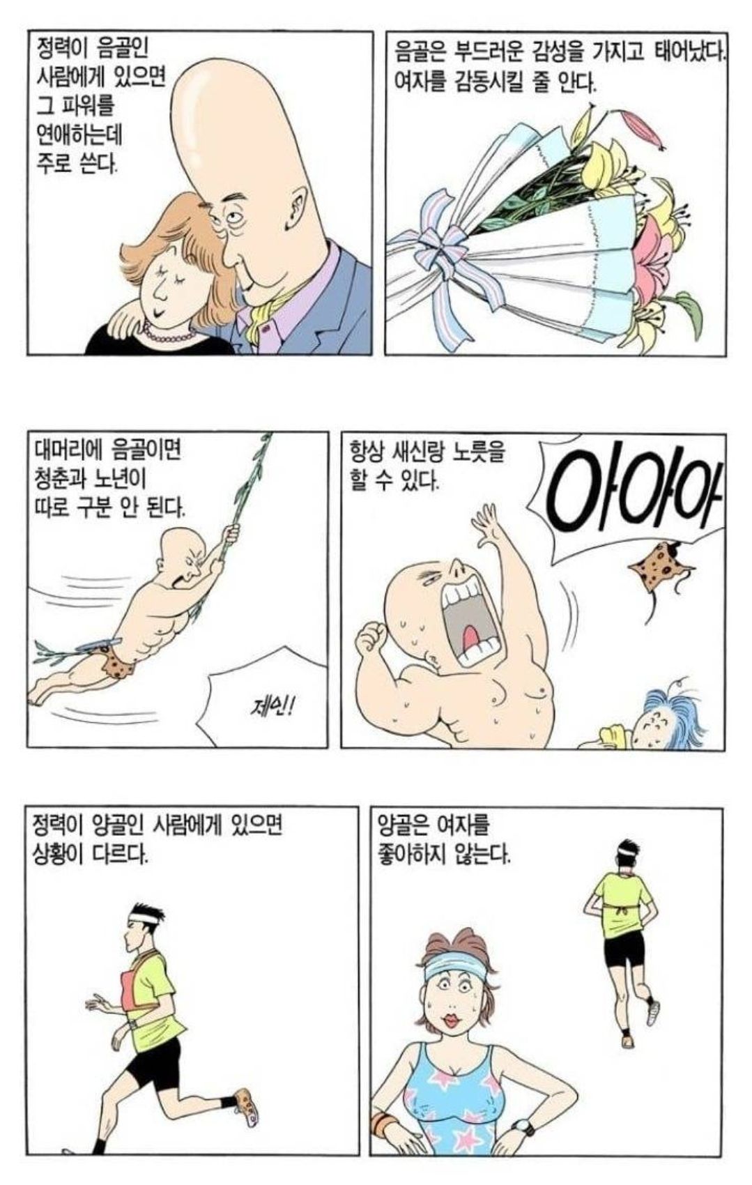 [유머] 관상가가 보는 대머리의 특징 -  와이드섬