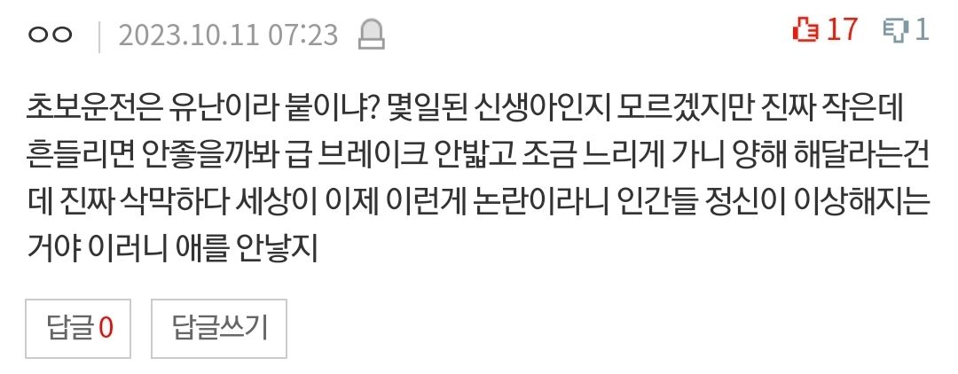 [유머] 출산 후 유난떠는 운전자 -  와이드섬