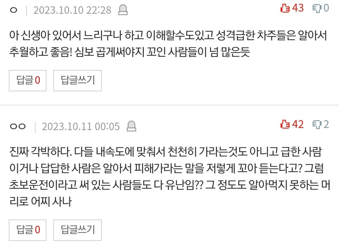 [유머] 출산 후 유난떠는 운전자 -  와이드섬