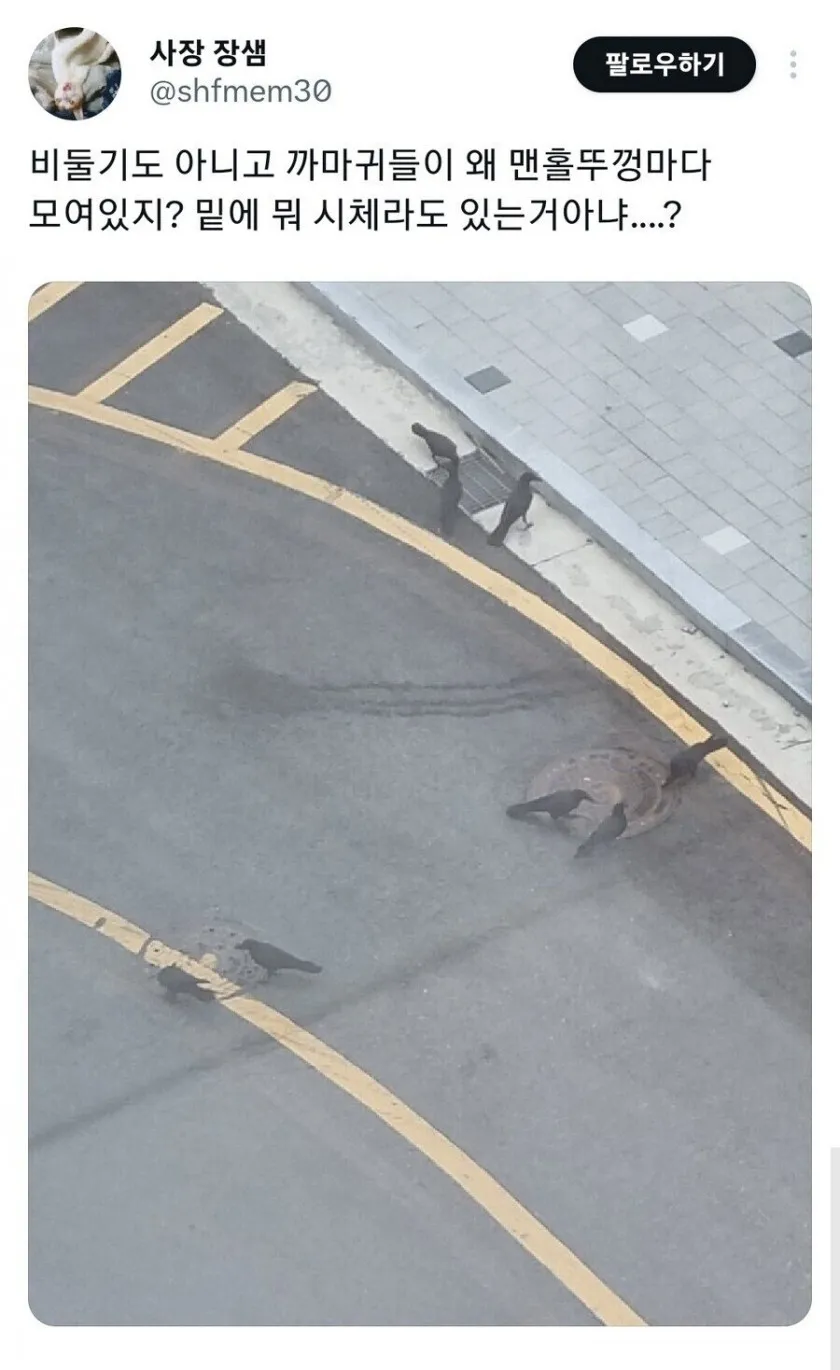 09f5b67b5e798b908d4e69702f2eabef_482155.png