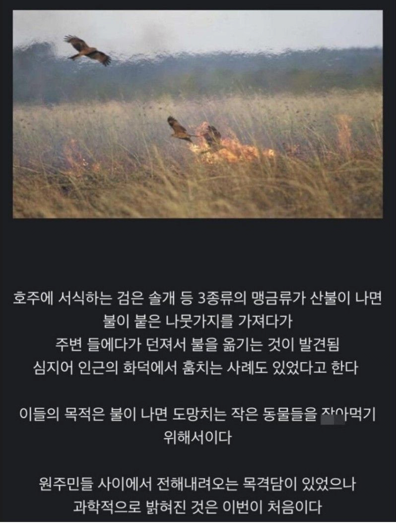 93e9ff25c39caade78a9cc5dc40e0173_633781.png