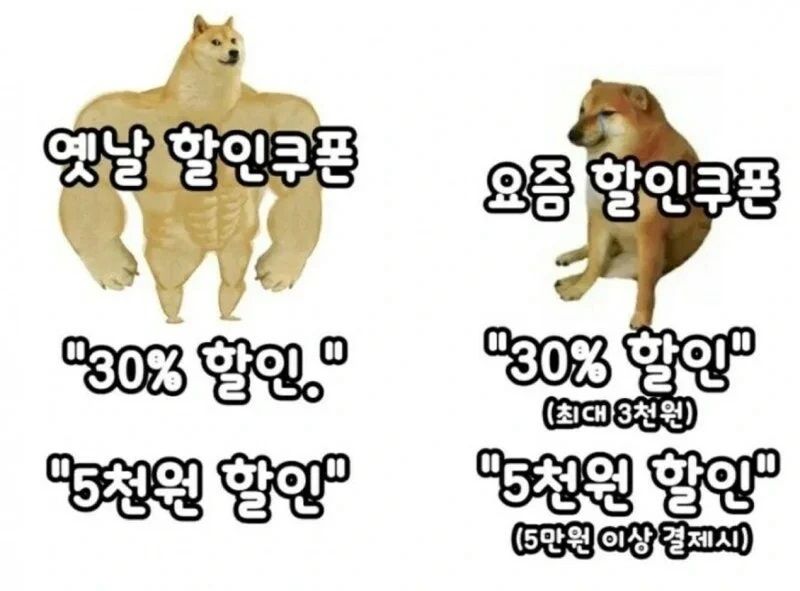 3b6dd4572905a87a1ef8492fe52fc86e_367526.jpg