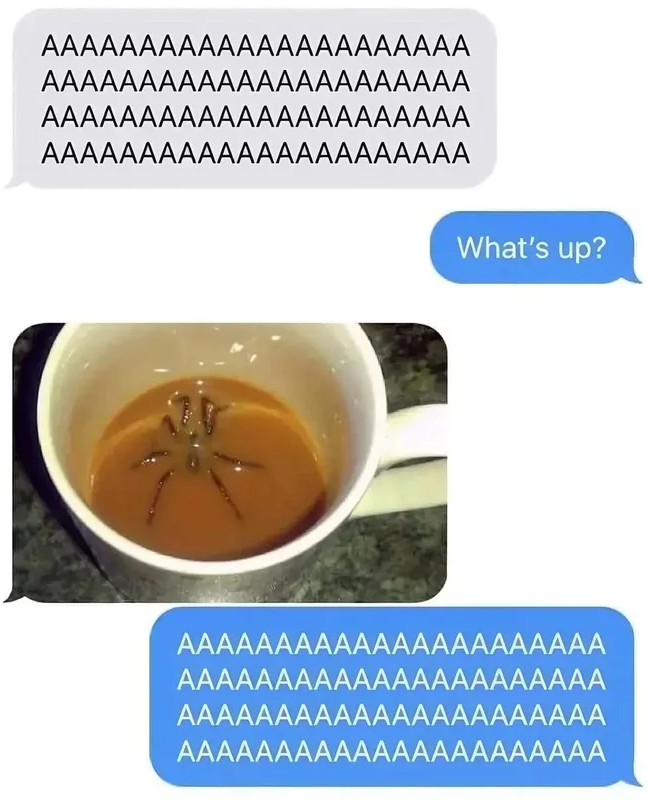95e061300233af4c43498083ca325188_223540.png